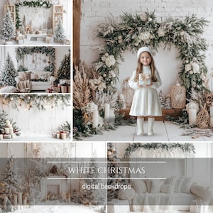 White Christmas Photo Studio Digital Backdrops: Boho Organic Props (JPG)