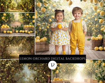 Digitale achtergrondoverlays citroenboomgaard: Photoshop-fotografierekwisieten