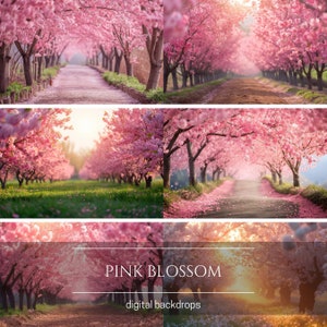 Pink Blossom Orchard Digital Backdrops for Composite Photography, Maternity Backdrop Overlays, Photoshop Overlays