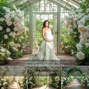 Weiße Rose Gewächshaus Garten digitale Kulissen, Sommer Blumengarten, Hochzeit Mutterschaft Fotografie digitaler Hintergrund, Photoshop Overlays