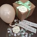 Blush- Will you be my bridesmaid? Pop the balloon to reveal your message 