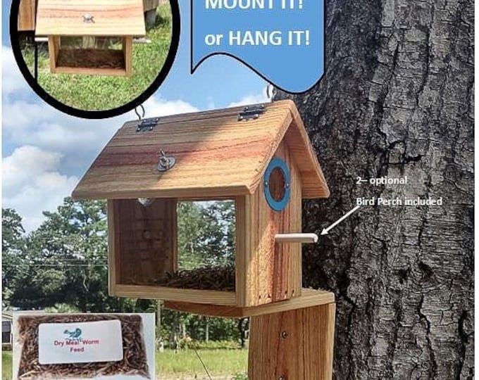 Cedar Blue Bird Feeder