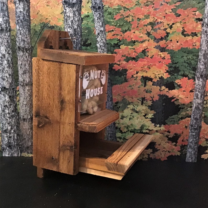 Peanut Cedar Squirrel Feeder With Optional Corn Holder Etsy