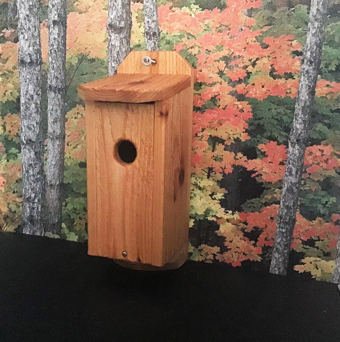 Cedar Blue Bird House - Etsy