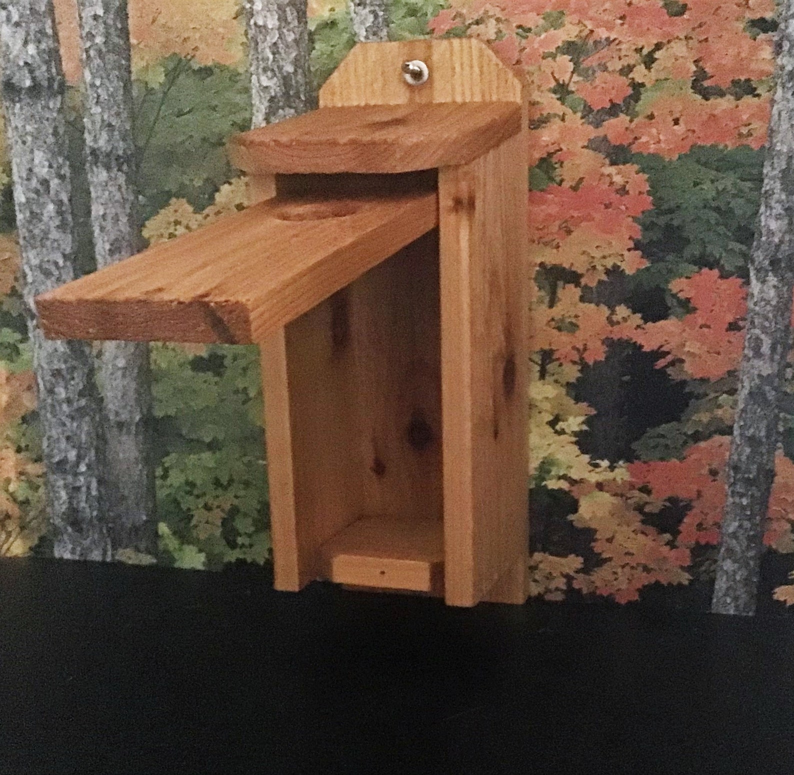 Cedar Blue Bird House - Etsy