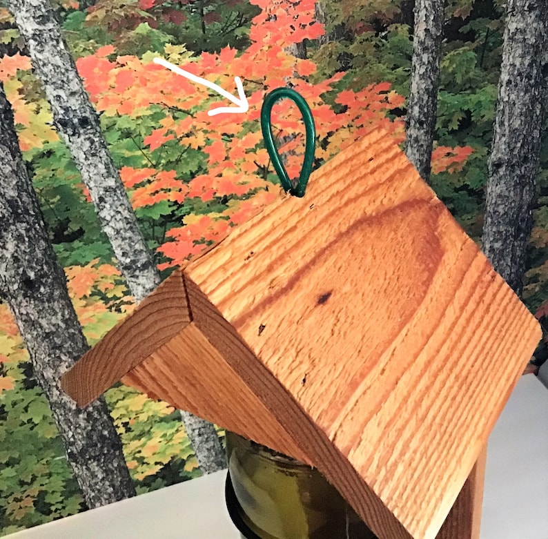 Beer Bottle Cedar Bird Feeder Etsy