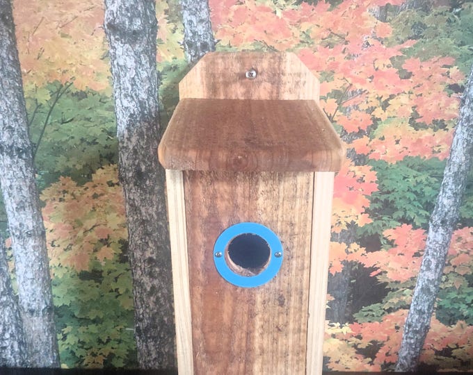 Cedar Blue Bird House