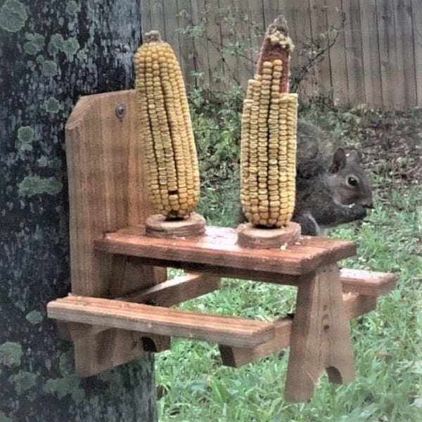 Squirrel Picnic Table Etsy