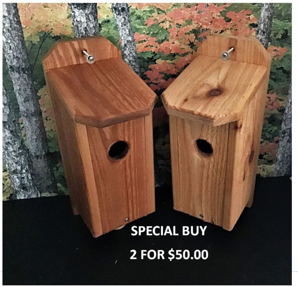 Cedar Blue Bird House - Etsy