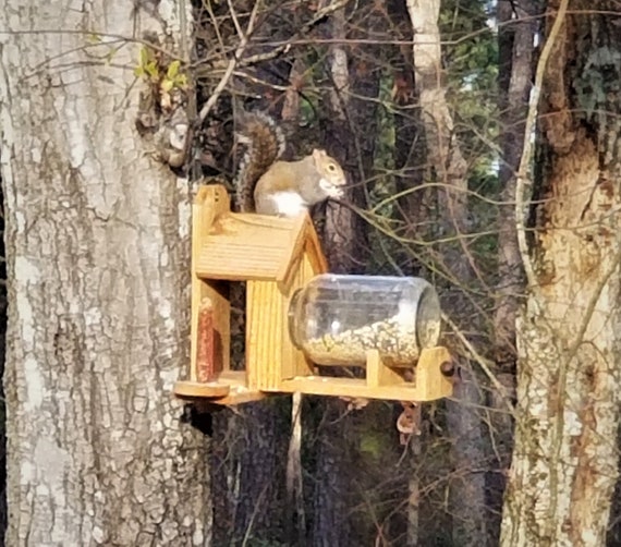 Cedar Squirrel Feeder With Optional Dual Corn Holder Includes Etsy