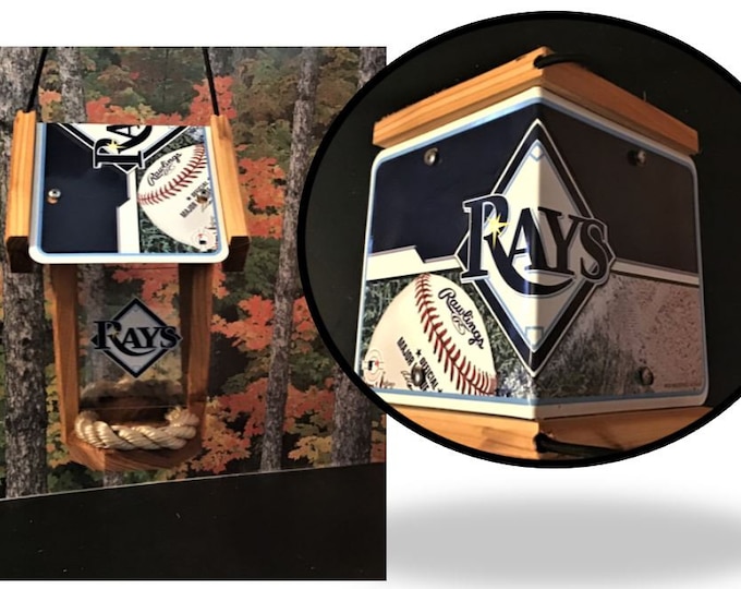 Tampa Bay Rays Two-Sided Cedar Bird Feeder