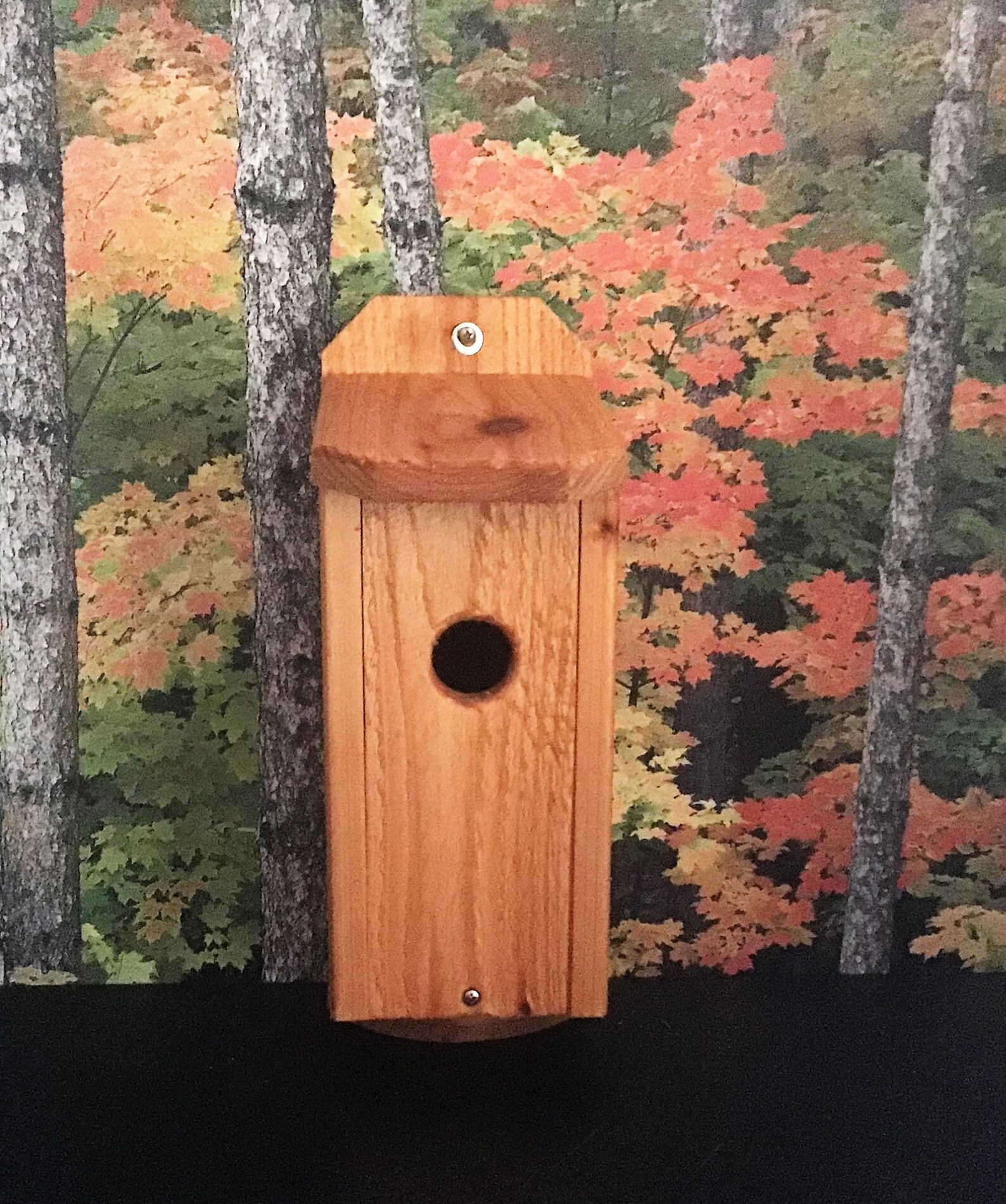 Cedar Blue Bird House - Etsy