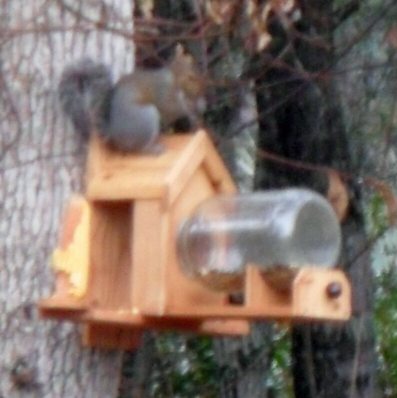 Cedar Squirrel Feeder With Optional Dual Corn Holder Includes Etsy