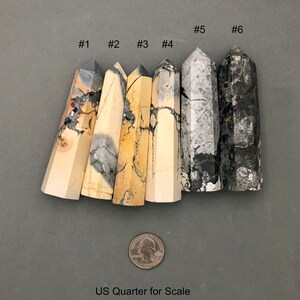K&ouml;nnte beinhalten: Sechs polierte, spitze, nat&uuml;rliche Stein Zauberst&auml;be, nummeriert von 1 bis 6, mit unterschiedlichen Mustern in Grau, Wei&szlig; und Braun. Eine US-Viertel-Dollar-M&uuml;nze ist zur Gr&ouml;&szlig;enbestimmung enthalten.