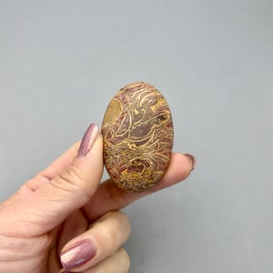 May include: An oval-shaped stone with a unique pattern of brown, red, and beige swirls. The polished surface of the stone is smooth, and the colors create a natural, earthy aesthetic. The stone is held in a hand.