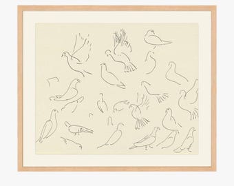 Doves Sketch Vintage Artwork Dove Artwork Nursery Art Kids Room Art Animals Artwork Fine Art Print Digital Print Birds Art PRINTABLE