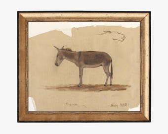 Burro. Arte animal antiguo. Decoración de pared animal vintage. Lámina artística de estudio de burro. Lámina de bellas artes. Decoración rústica. Decoración con dibujos de animales. Lámina de burro.