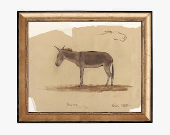 Burro. Arte animal antiguo. Lámina de burro. Lámina de bellas artes. Decoración rústica. Decoración de pared con animales vintage. Decoración con dibujos de animales. Lámina artística de estudio de burro.