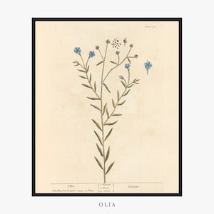 Blue Flax Flower Painting | Botanical Artwork | Blue Flowers Artwork | Garden Art Print | Vintage Artwork | Floral Artwork | PRINTABLE