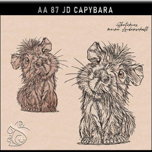 Broderifil -JD Capybara -Nr. AA87