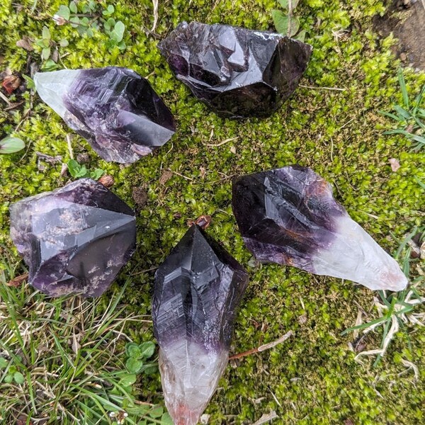 RARE FIND Deep Smoky Black Elestial Amethyst Root Crystals from Uruguay ~ Dragon Tooth Amethyst Points