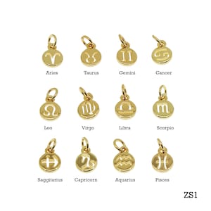 Zodiac Signs,Gold Zodiac Sign,Personalized Jewelry,Astrological Signs,Zodiac Charms For Bracelet