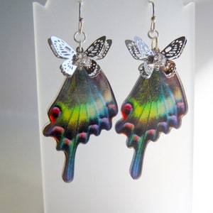 May include: A pair of silver butterfly earrings with iridescent green and blue butterfly wings. The wings have a detailed pattern and a red spot on each wing.