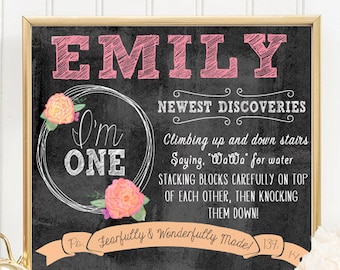 First Birthday Poster, Milestone Sign, First Birthday Girl, 1st Birthday Board, First birthday Sign, Birthday Poster, Milestone Chalkboard