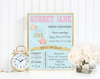 First Birthday Poster, Milestone Poster, Farmhouse Birthday, 1st Birthday Board, First birthday board, Baby Milestone Poster, Monthly Sign