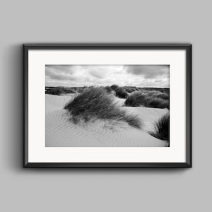 Puede incluir: Fotografía en blanco y negro de dunas de arena con hierba alta que se mueve con el viento.