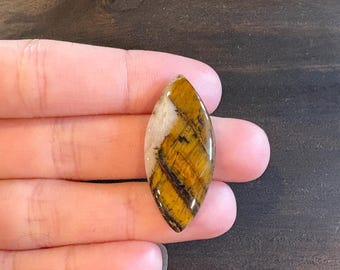 Tiger Eye Cabochon