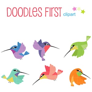 Gracieux colibris Digital Clipart pour Scrapbooking, Cricut Cut Files, Sublimation, Fabrication de cartes, Artisans, Artisanat en papier, SVG, PNG, jpg