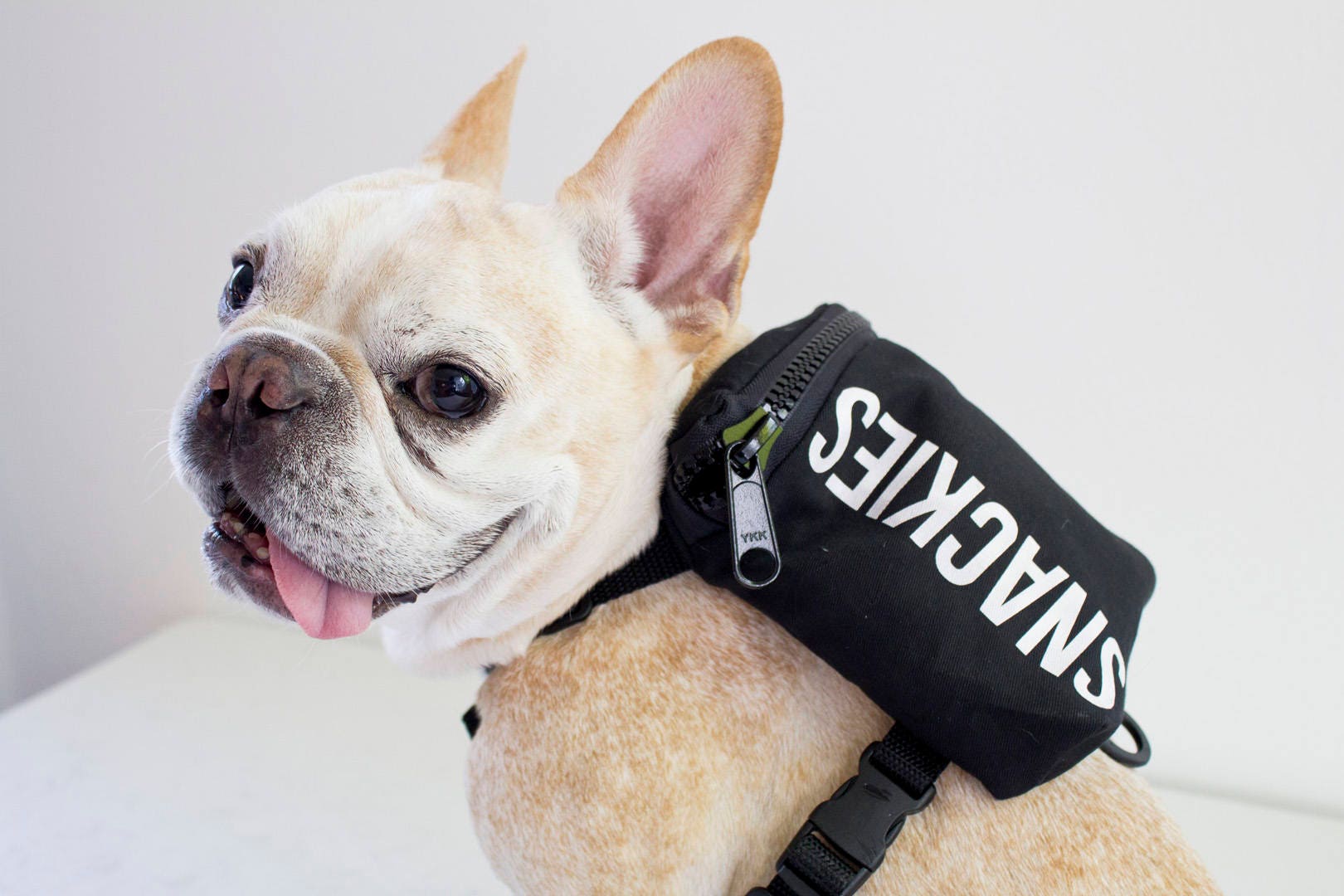 Snackies Dog Backpack Dog Harness Backpack / Designer Dog ...