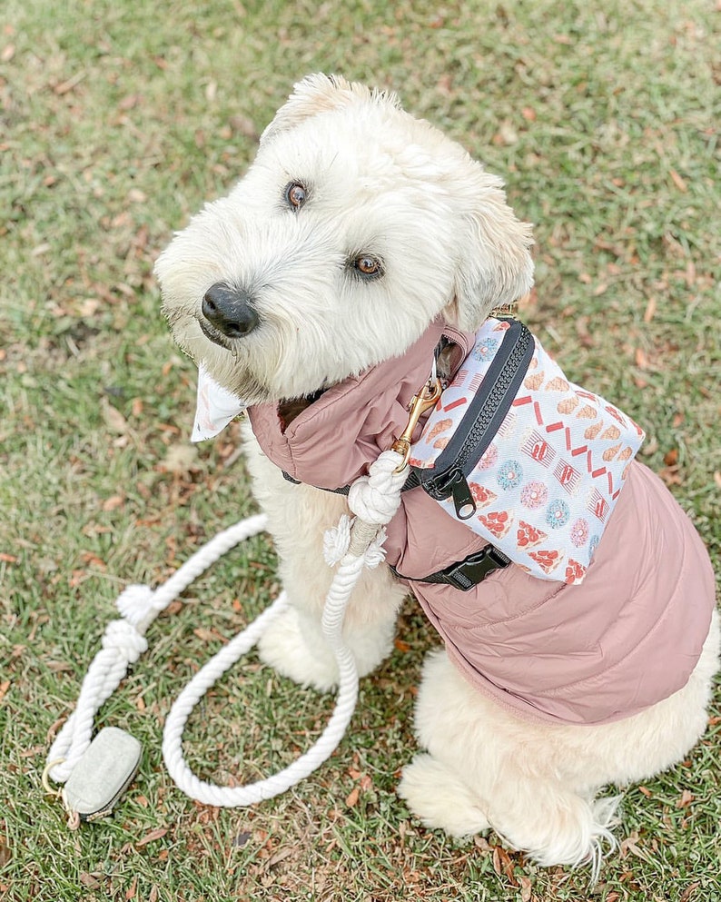 designer dog harness