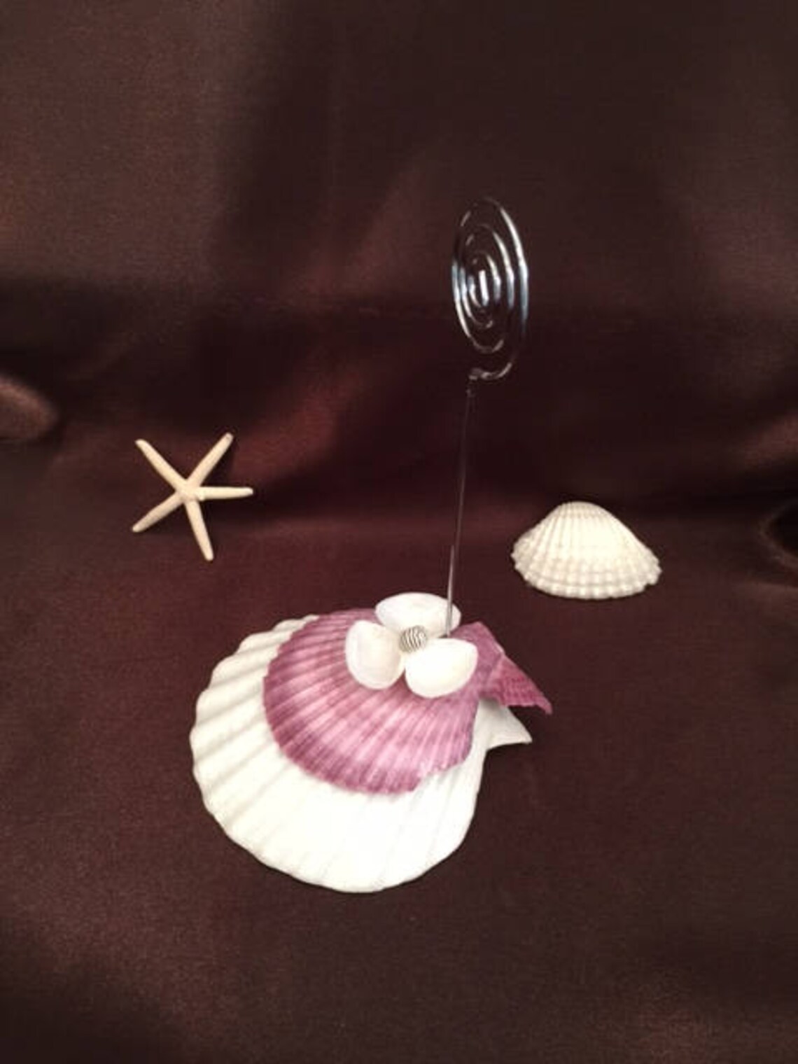 Sea Shell Photo Holder Etsy
