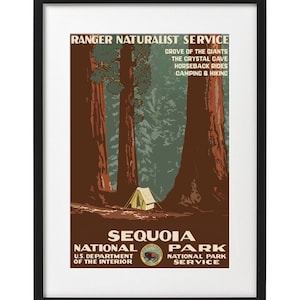 Sequoia National Park - Ranger Naturalist Service - Art Print Vintage