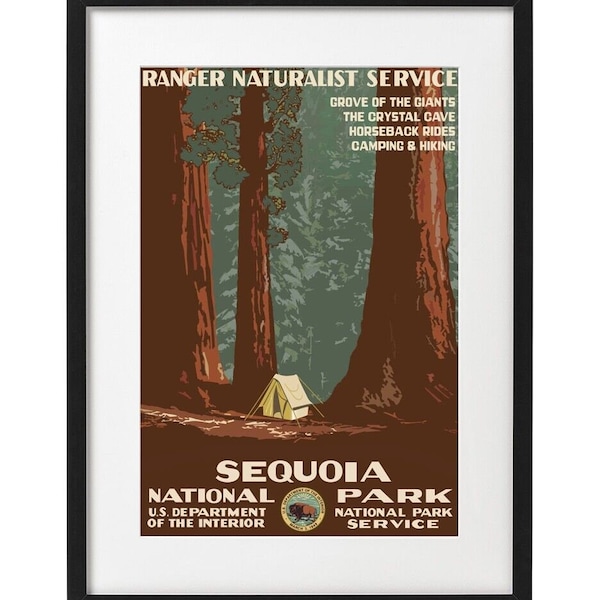 Ranger Naturalist Service Posters - Etsy