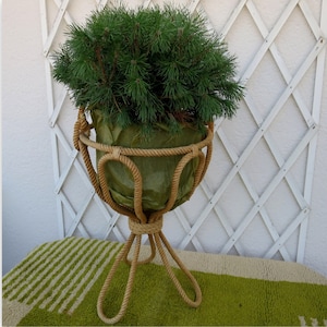 May include: A brown rope plant stand with a green plant in a brown paper pot. The stand has a round top and three legs. The stand is on a green and white striped rug.