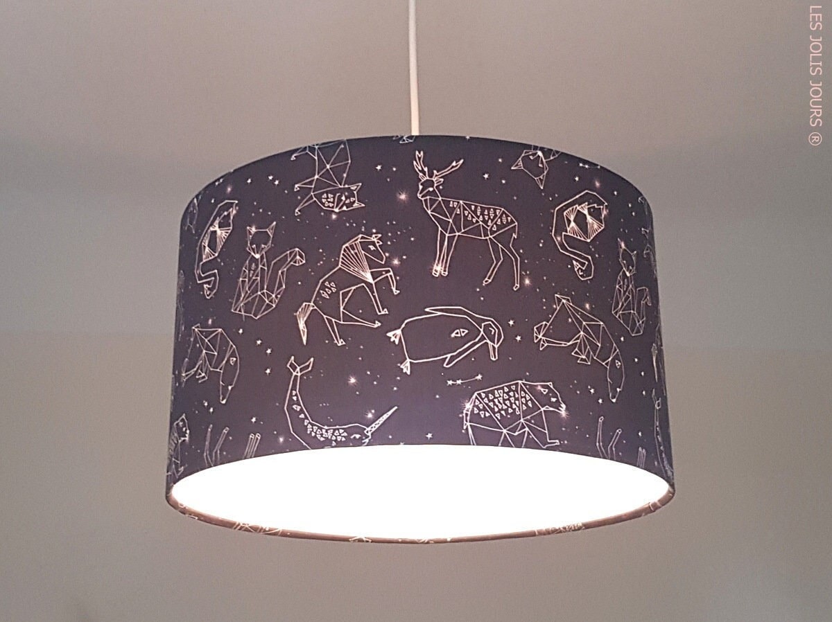 Constellation 2024 lamp shade