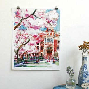 UNIVERSITY OF WASHINGTON Cherry Blossoms on the U Dub Quad, Seattle