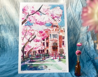 UNIVERSITY OF WASHINGTON | Cherry Blossoms on the U Dub Quad, Seattle | Watercolor Illustration | Digital Print | 12 x 18&quot;