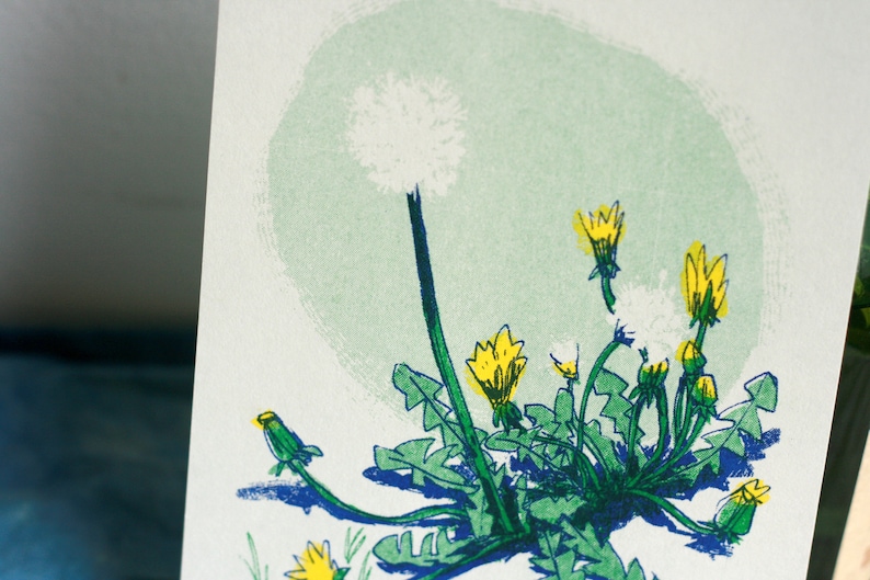 DANDELIONS wildflowers risograph print 5x7 handmade image 3