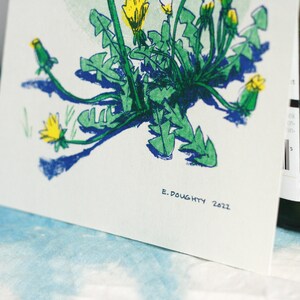 DANDELIONS wildflowers risograph print 5x7 handmade image 2