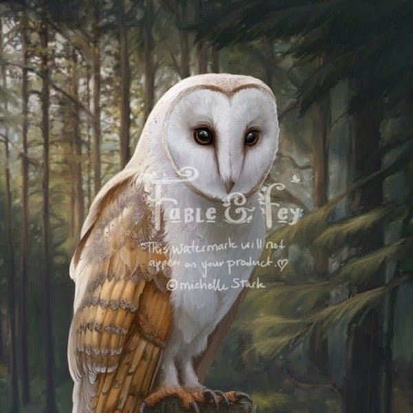 Barn Owl Art Throw Blanket/Cozy Night Owl Blankie/Spirit Animal/Owls are Magical/I Just Love Owls/