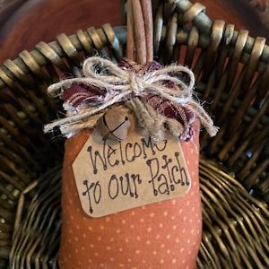 May include: Orange fabric pumpkin with a polka dot pattern, cinnamon stick stem, and a twine bow. A small tag reads "Welcome to our Patch". The pumpkin is decorated with a small bell and is set in a woven basket.