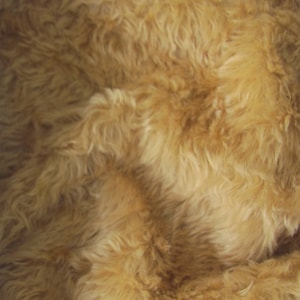 Mohair 340H, 5/8&quot; (16 mm), 1/6 yard (Fat) in Color 406S-Wild Honey. A German Mohair Fur Fabric for Teddy Bear Making, Art Dolls & Crafts