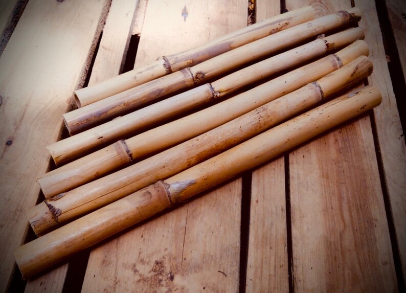 Dübel Bambus Holz Dübel Bambus für Handwerk Holz für | Etsy