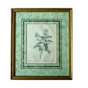 May include: Set of three framed botanical prints featuring detailed illustrations of different plants. Each print has a light green background with a gold frame.