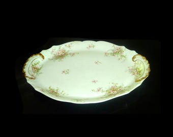 Antique Theodore Haviland France Oval Serving Platter Old Apple Blossom Pattern Schleiger 146 18''