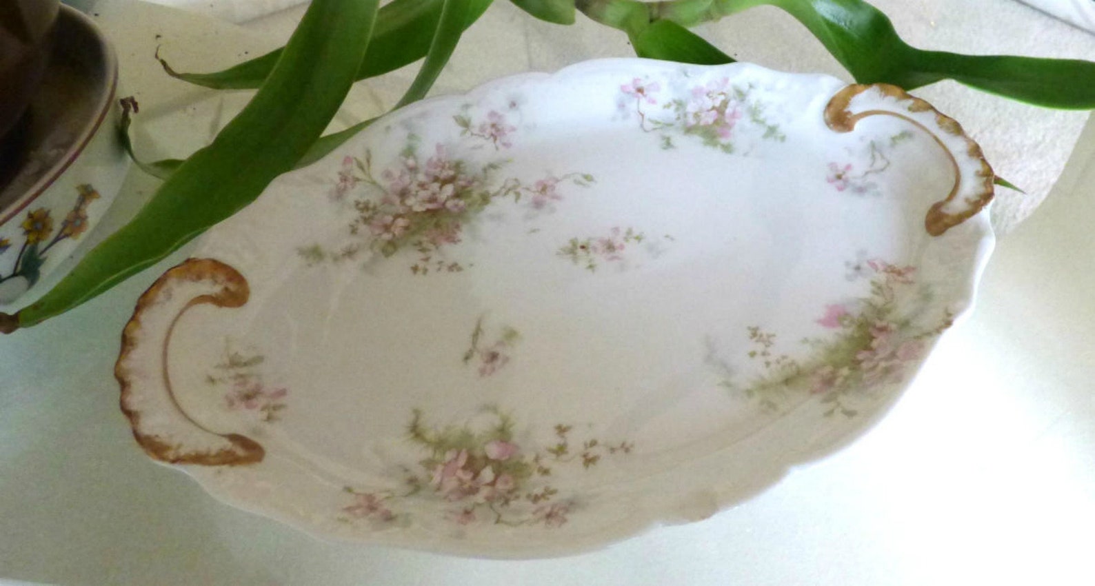 Theodore Haviland Limoges France China Apple Blossom Pattern Etsy